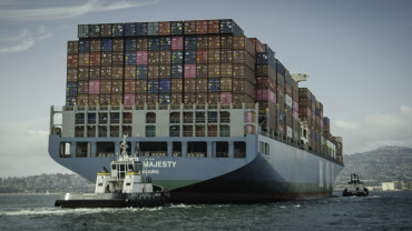 Shipping chaos gives top importers ‘massive competitive edge