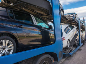 Blue Multi car Carrier